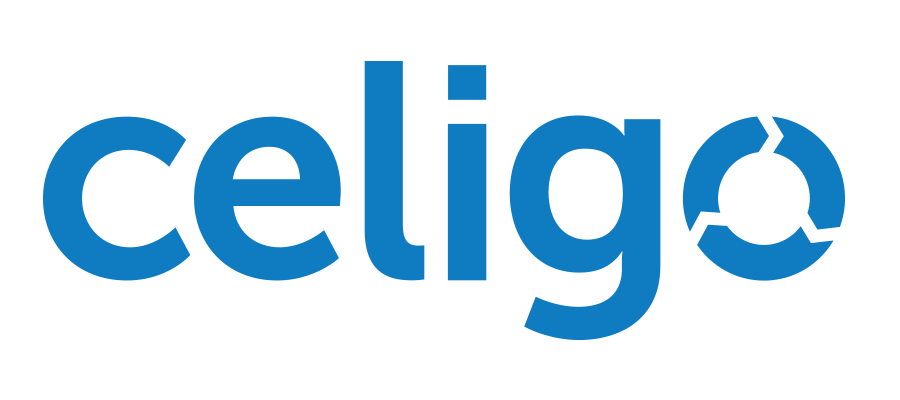 software testing celigo