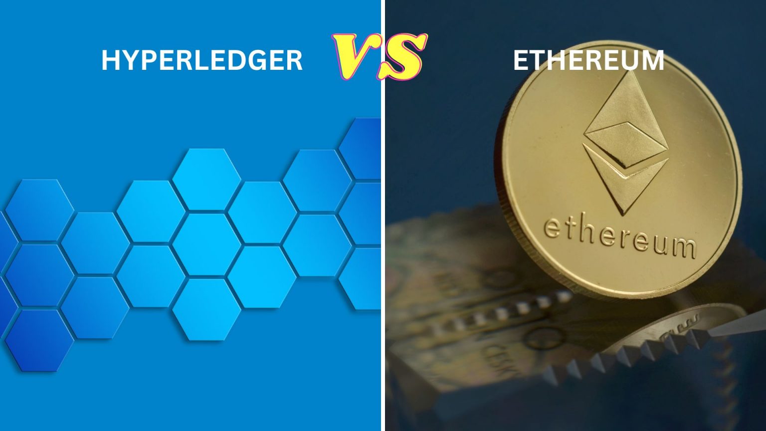 What Is Hyperledger In Blockchain? Everything You Need To Know Uisort