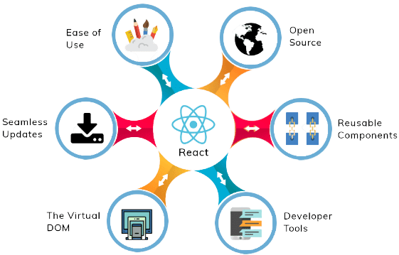 ReactJs Development Process